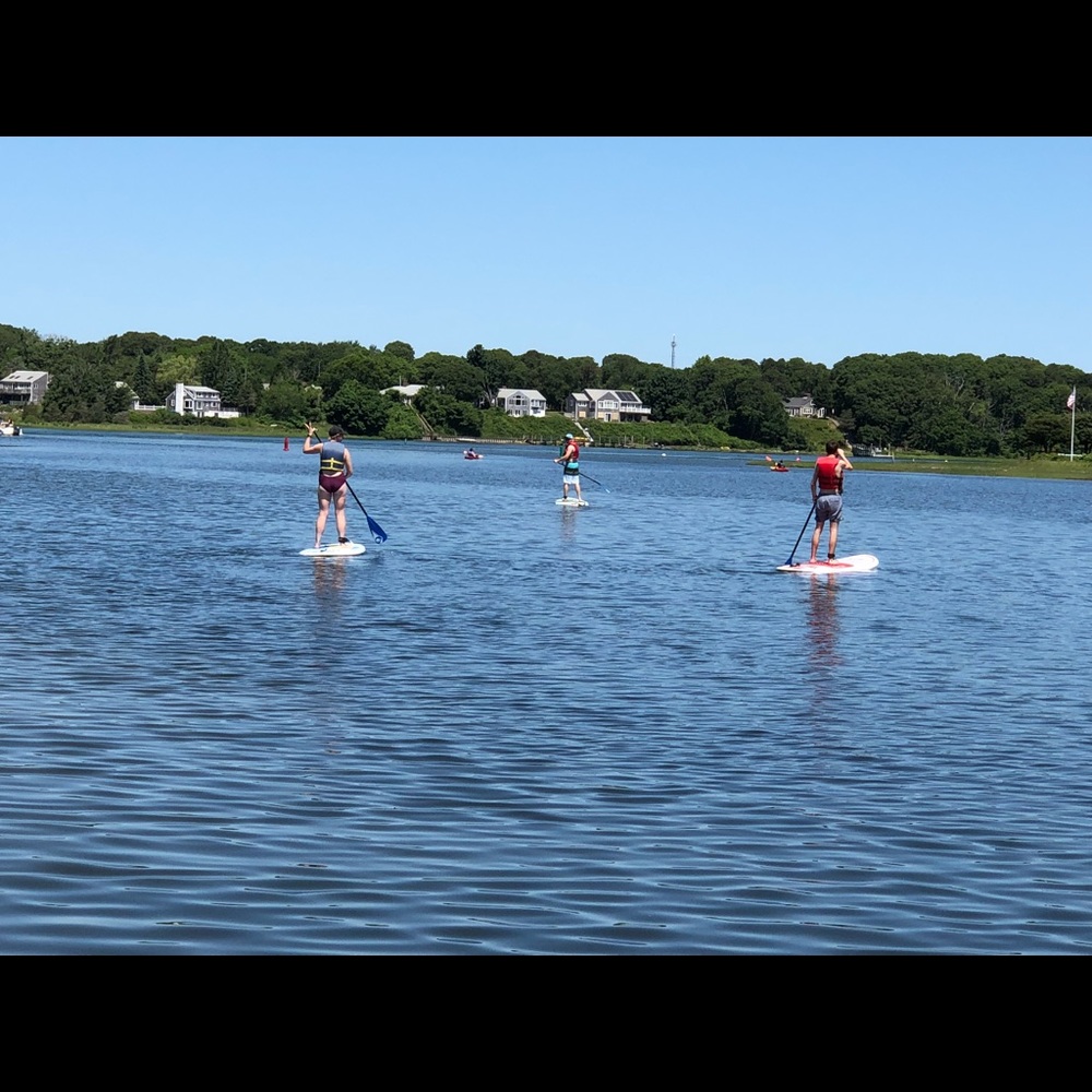 Meet your Posher, Jeannette